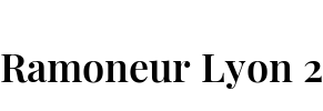Ramoneur Lyon 2